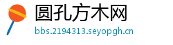 圆孔方木网